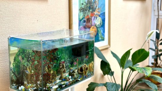 Мирра в Иркутске в Ленинском районе фото 8