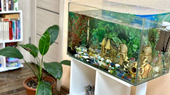 Мирра в Иркутске в Ленинском районе фото 10