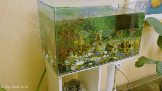 Мирра в Иркутске в Ленинском районе фото 17