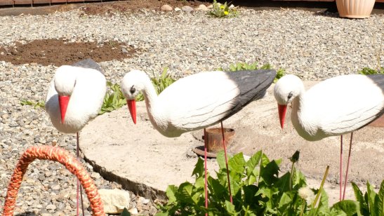 Мирра в Иркутске в Ленинском районе фото 24