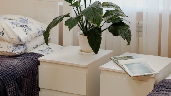 Мирра в Иркутске в Ленинском районе фото 34