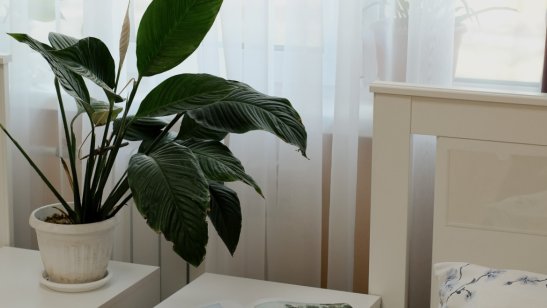 Мирра в Иркутске в Ленинском районе фото 35