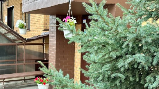 Мирра в Иркутске в Правобережном округе фото 4