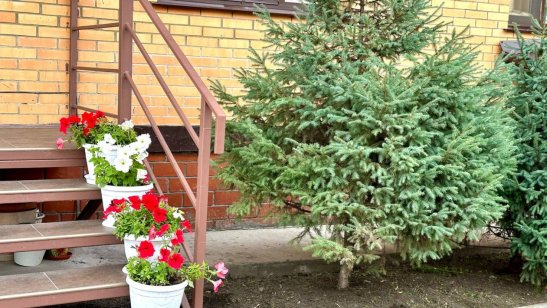 Мирра в Иркутске в Правобережном округе фото 6