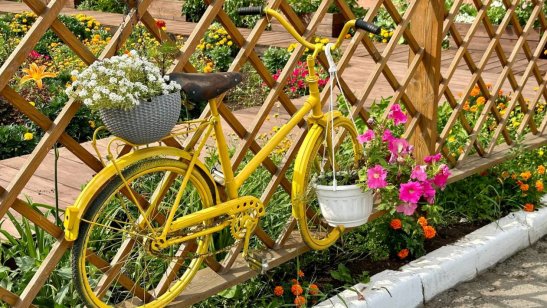 Мирра в Иркутске в Правобережном округе фото 7