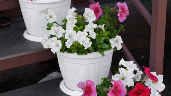 Мирра в Иркутске в Правобережном округе фото 25