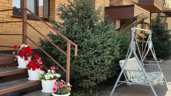 Мирра в Иркутске в Правобережном округе фото 29