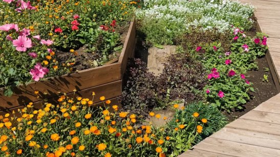 Мирра в Иркутске в Правобережном округе фото 32