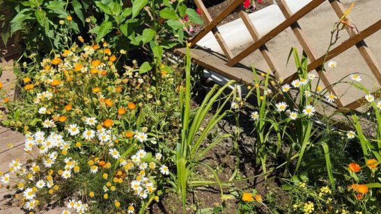 Мирра в Иркутске в Правобережном округе фото 35