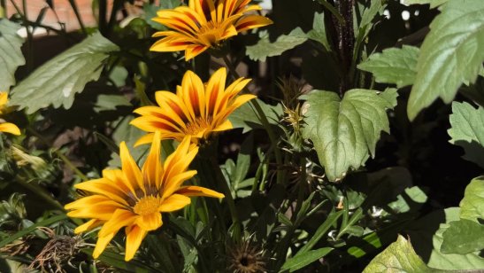 Мирра в Иркутске в Правобережном округе фото 36