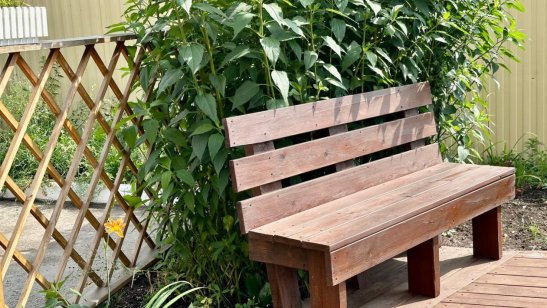 Мирра в Иркутске в Правобережном округе фото 38