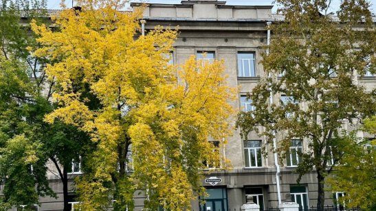 МИРРА в Ангарске фото 25