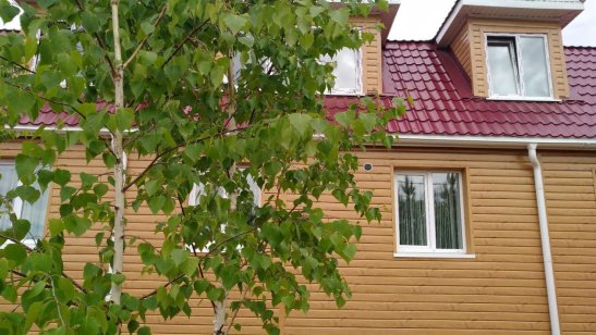 Пансионат «Сосновый бор»