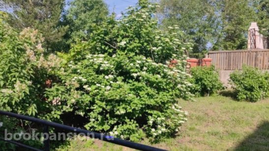 Пансионат «Добрый дом» фото